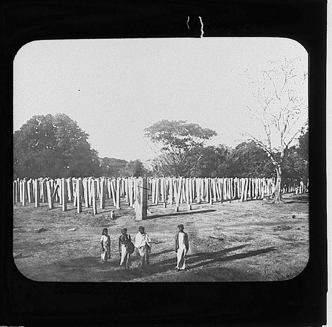 Amradhapura